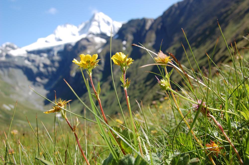 Ferienhaus Islitzer Hollersbach im Pinzgau Bagian luar foto